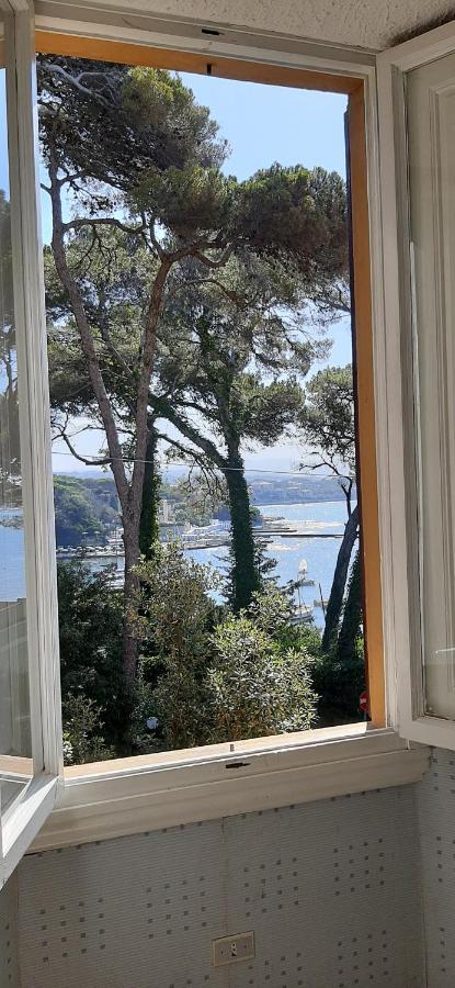 Villa Violetta Castiglioncello Exteriér fotografie