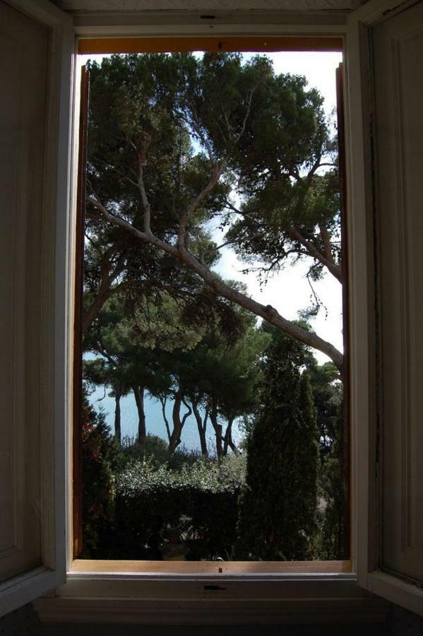 Villa Violetta Castiglioncello Exteriér fotografie